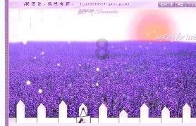 10元6斤39元多少斤?-专业红迪网平台