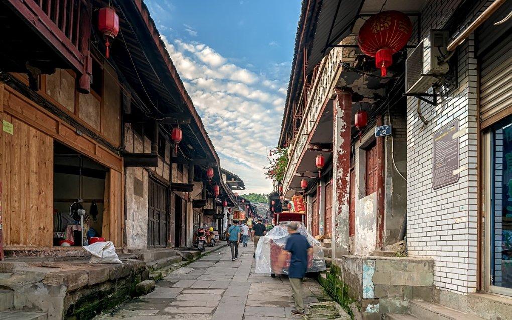 动物帮帮忙保卫家园